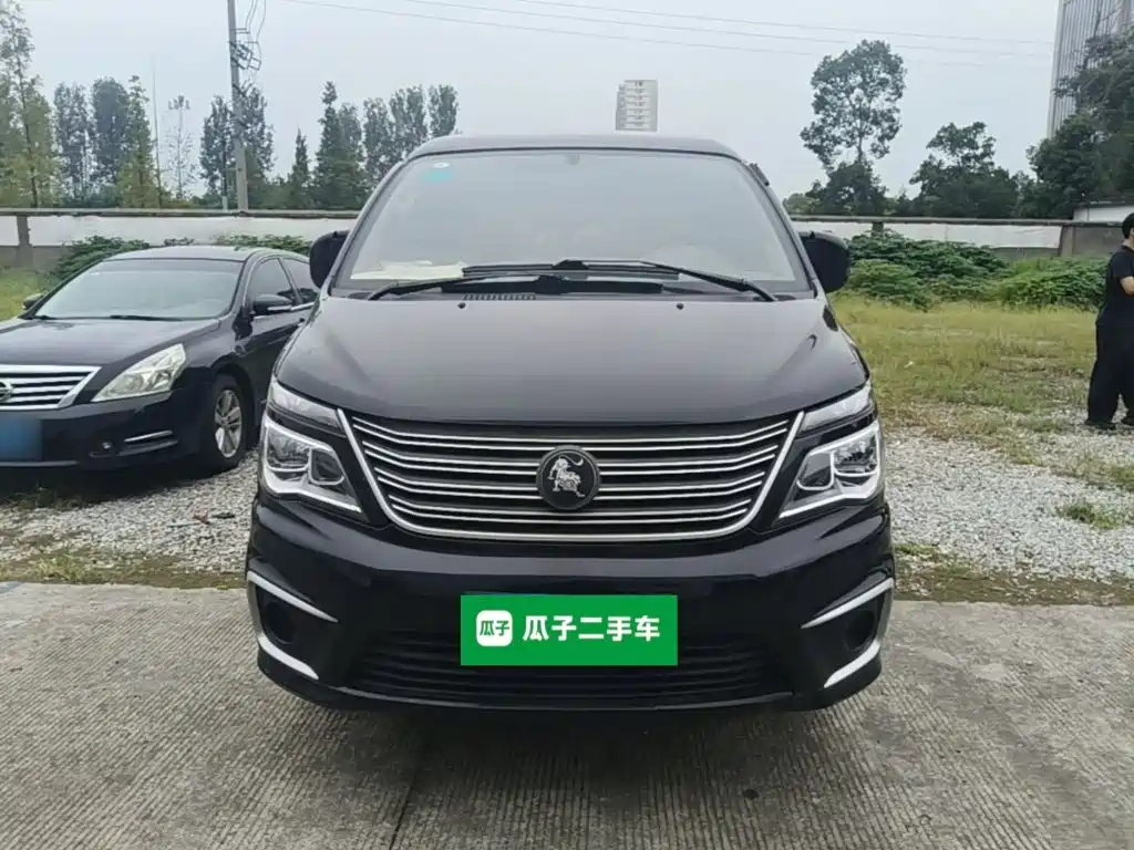 Fengxing Lingzhi — миниатюра 3