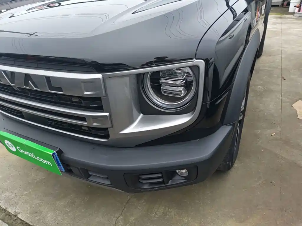 Haval Big Dog — миниатюра 24