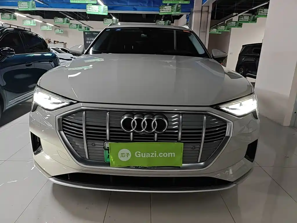Audi e-tron (Import) — миниатюра 3