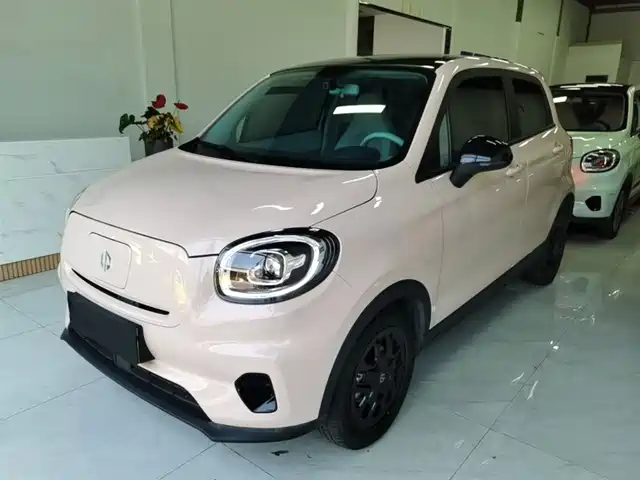 2024 Leapmotor T03