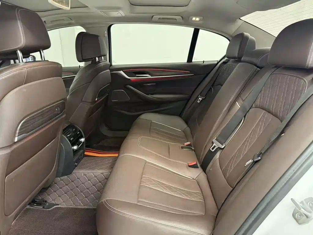 BMW 5 Series 5 2022 530Li Premium Luxury