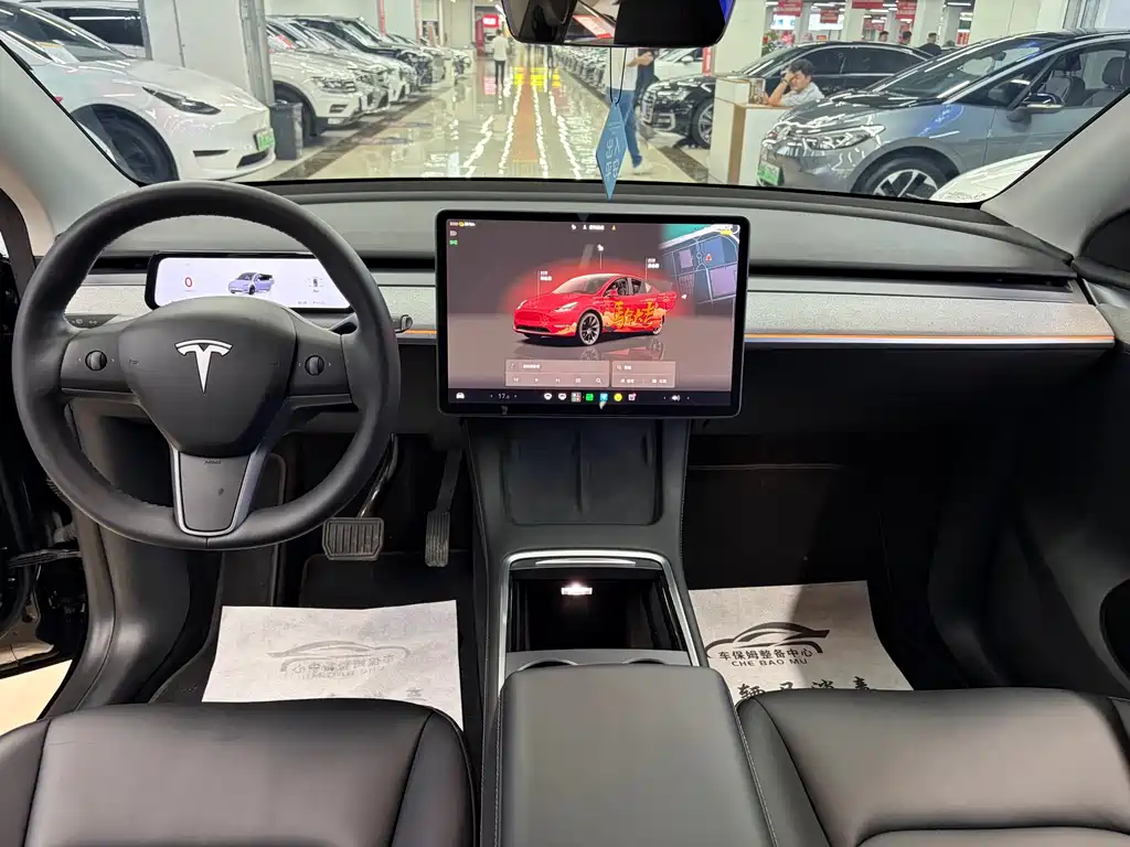 Tesla Model Y — миниатюра 10