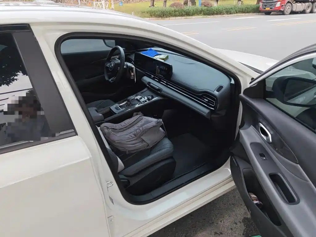 GAC Motor Shadow Leopard — миниатюра 22