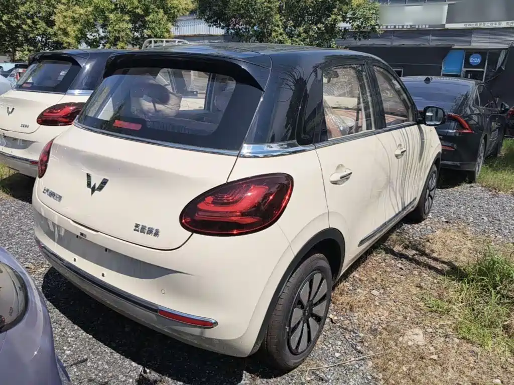 Wuling Binguo 2025 333km Enjoy