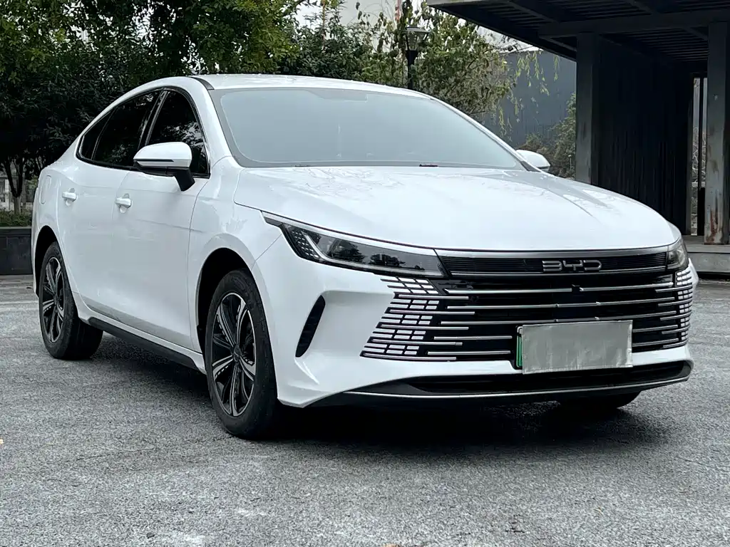 BYD Destroyer 05 2023 Champion DM-i 120KM Luxury