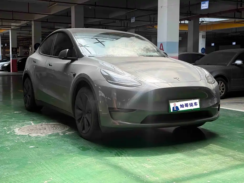Tesla Model Y — миниатюра 3