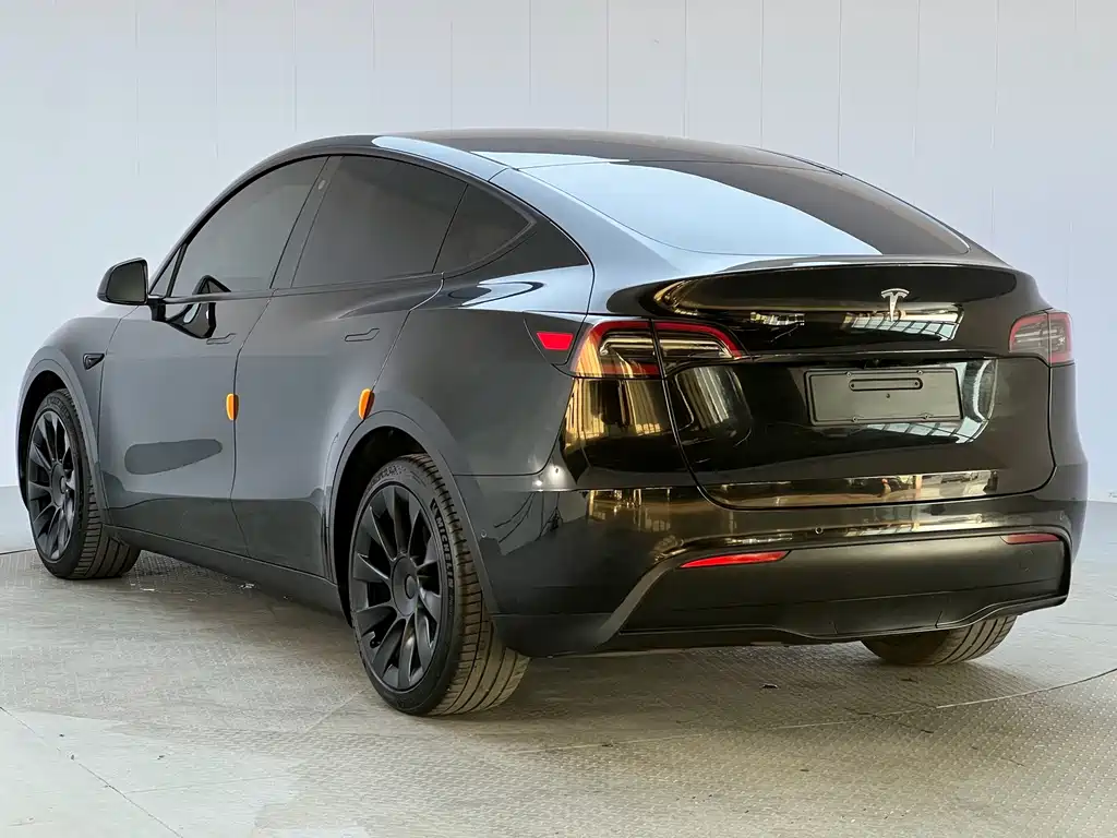 Tesla Model Y — миниатюра 15
