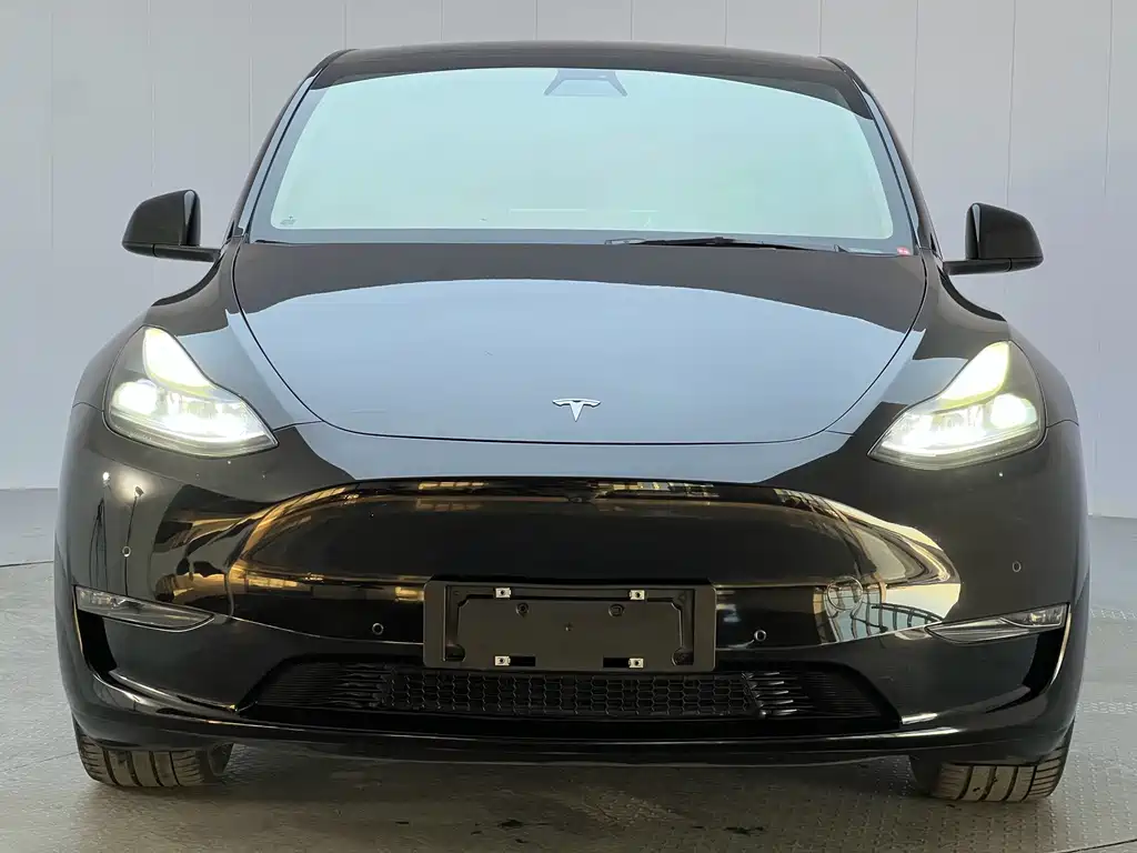 Tesla Model Y — миниатюра 2