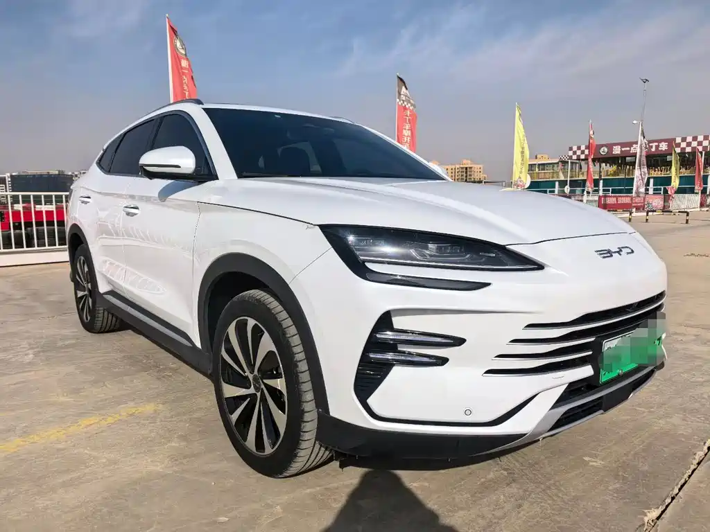 BYD SONGJIANG NEW ENERGY