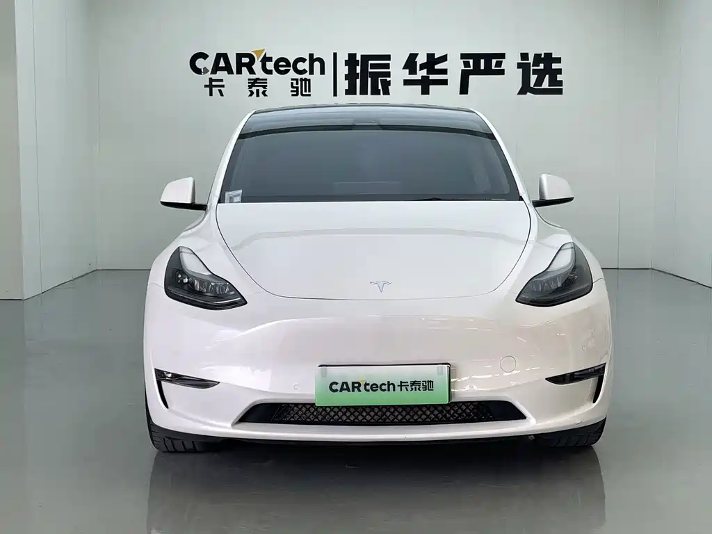 Tesla Model Y — миниатюра 2