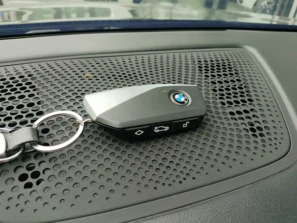 BMW X5 2023 xDrive 30Li Premium M Sport