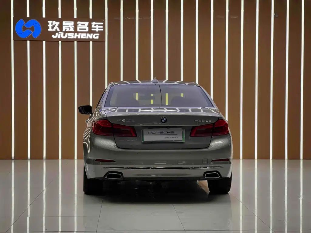 BMW 5 SERIES NEW ENERGY