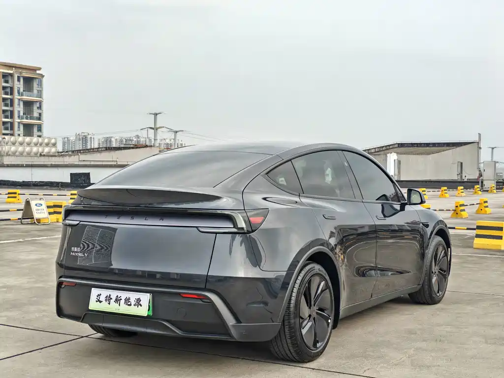 Tesla Model Y — миниатюра 7