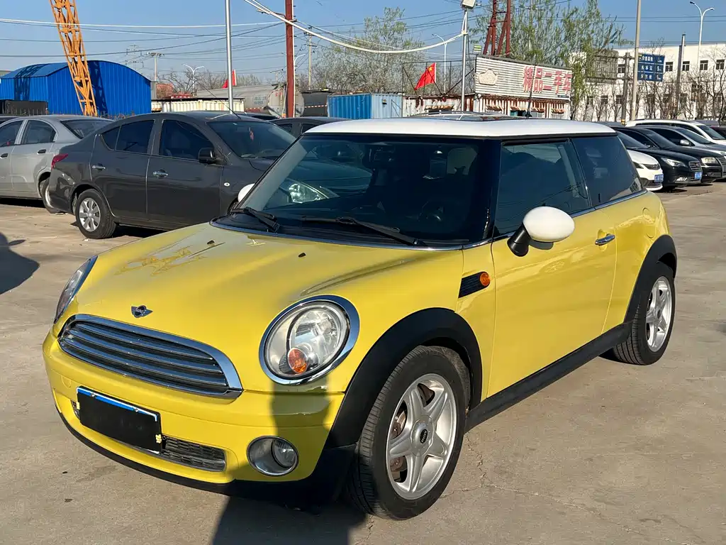Mini Mini 2010