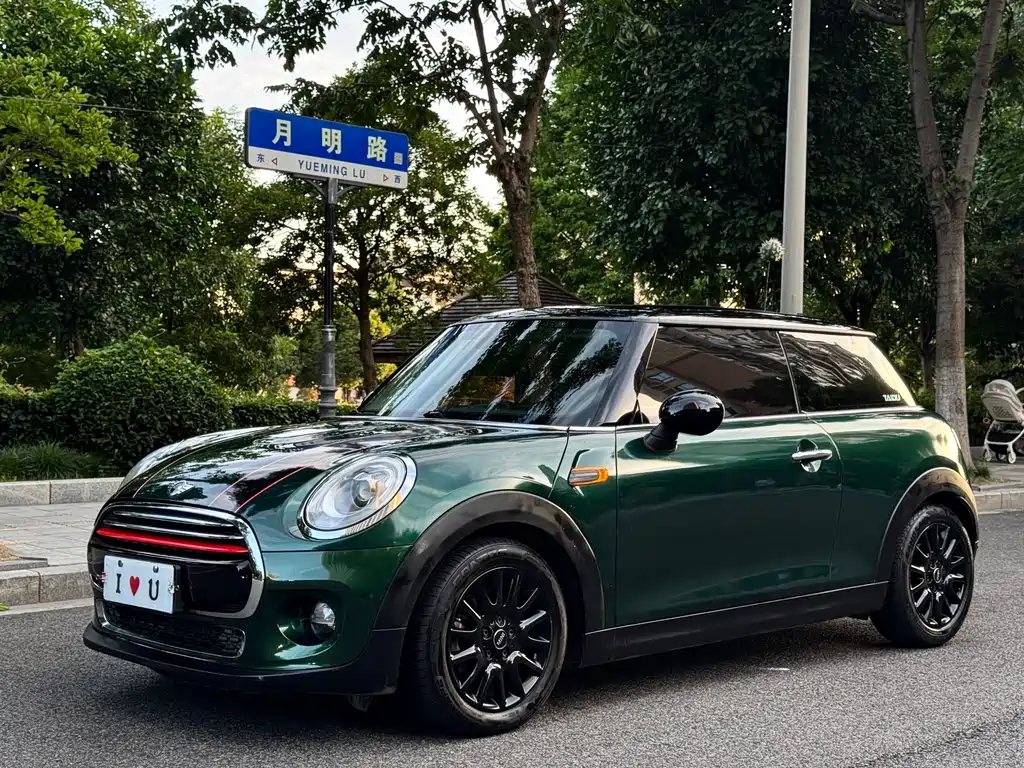 Mini Mini 2015