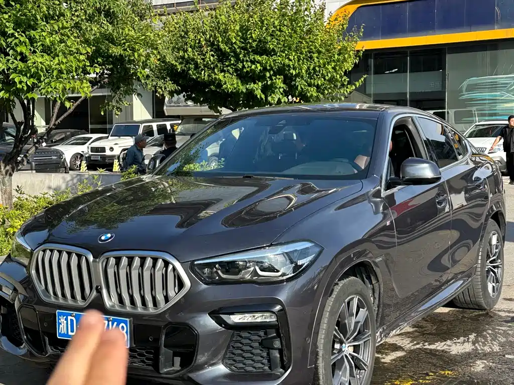 BMW X6 2021