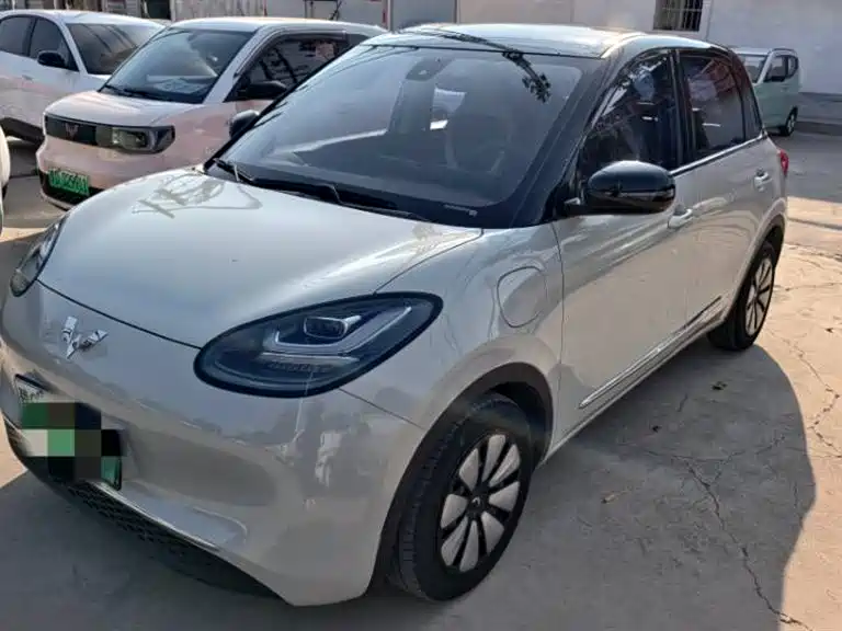 Wuling Bingo 2024