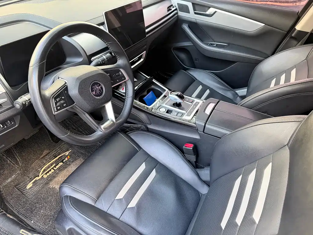 BYD Qin Pro NEV — миниатюра 9