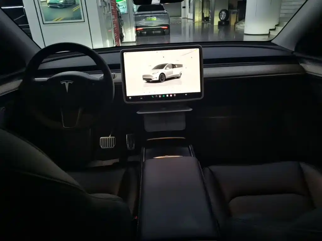 Tesla Model Y — миниатюра 10