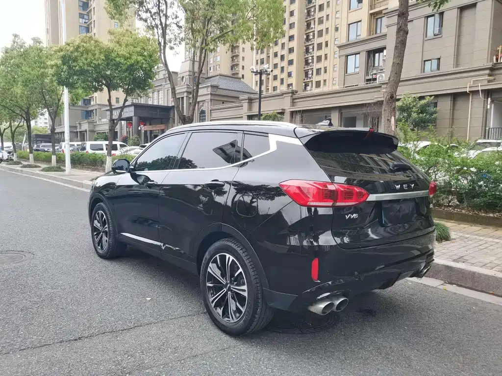 Wey Wey VV6 — миниатюра 13
