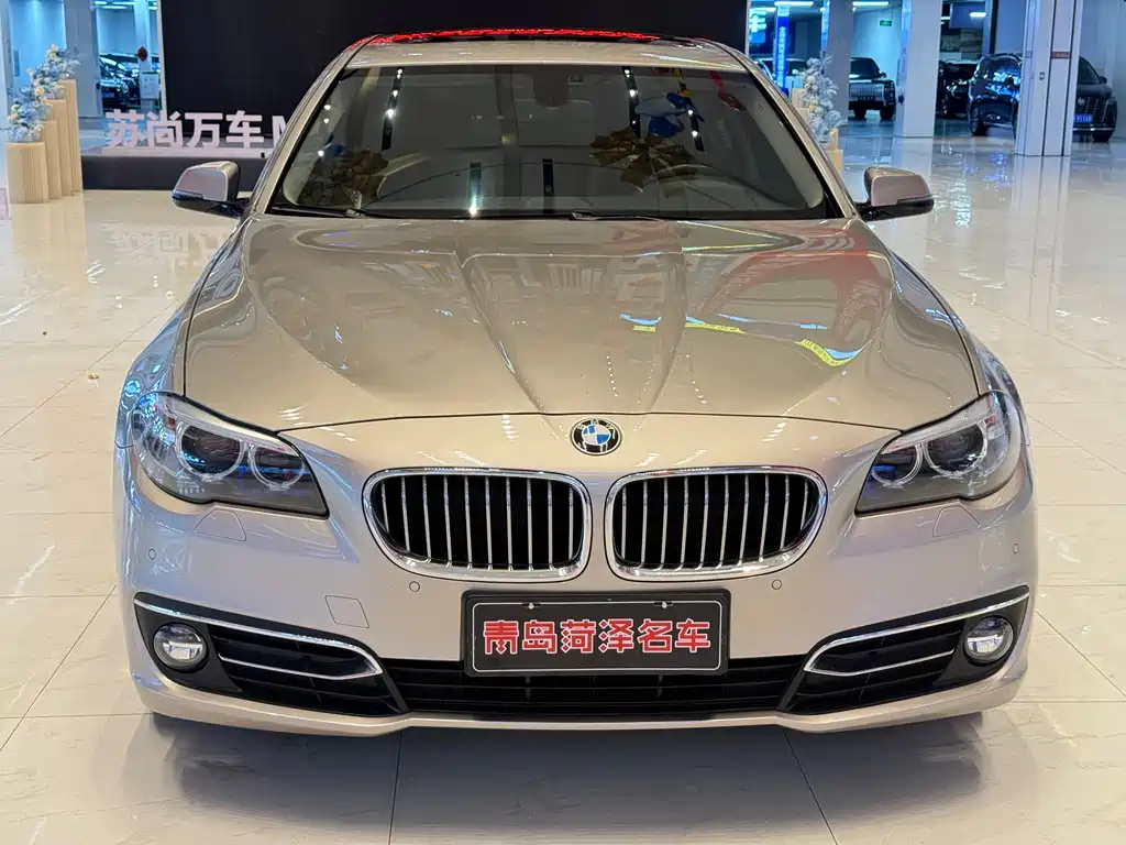 BMW 5 Series — миниатюра 3