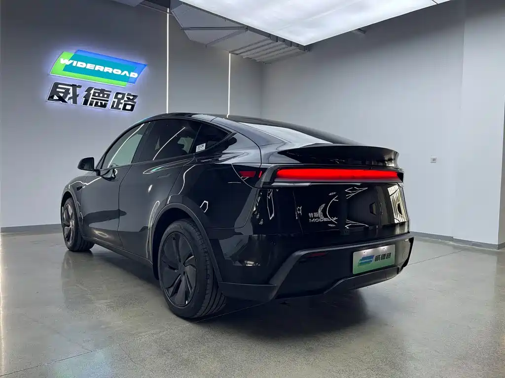 Tesla Model Y — миниатюра 8