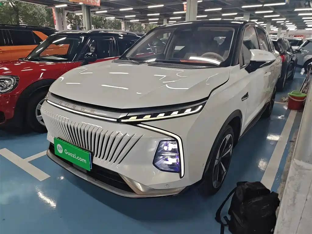 ROEWE WHALE