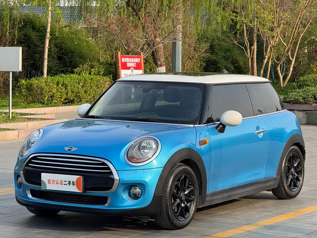 Mini Mini 2016