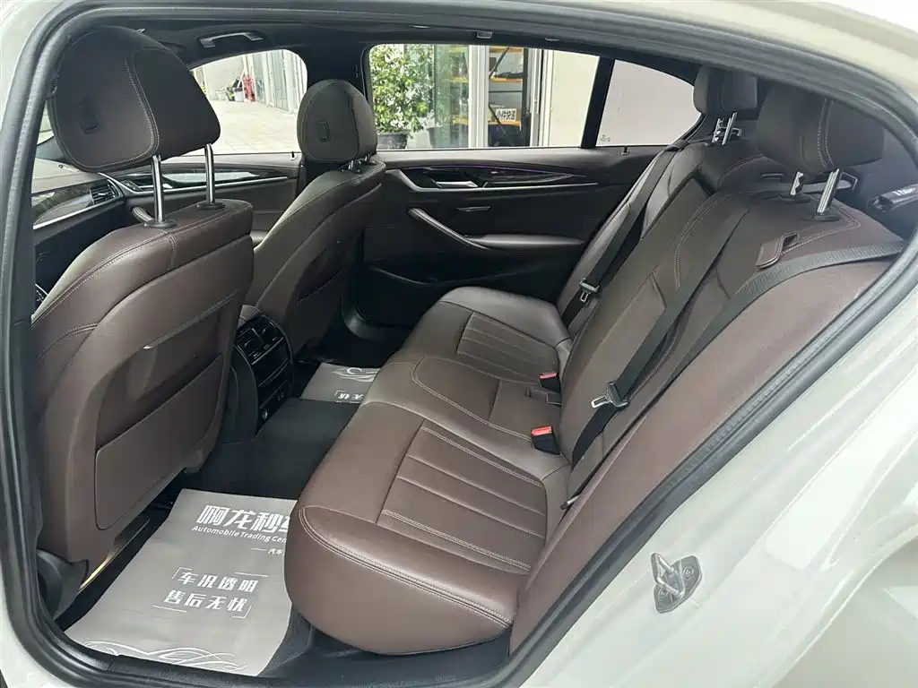 BMW 5 Series 5 2020 525Li M Sport