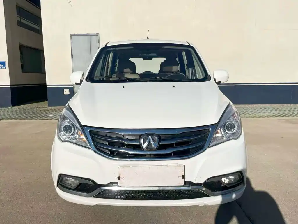 BAW Weiwang M20 — миниатюра 2