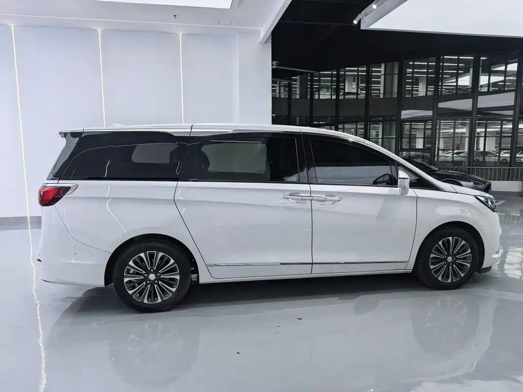Buick GL8 — миниатюра 12