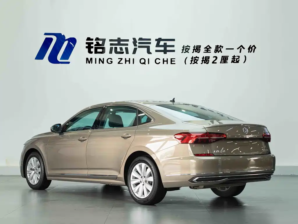 Volkswagen Passat — миниатюра 8