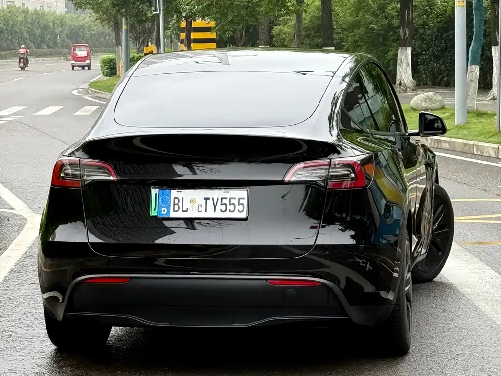Tesla Model Y — миниатюра 4