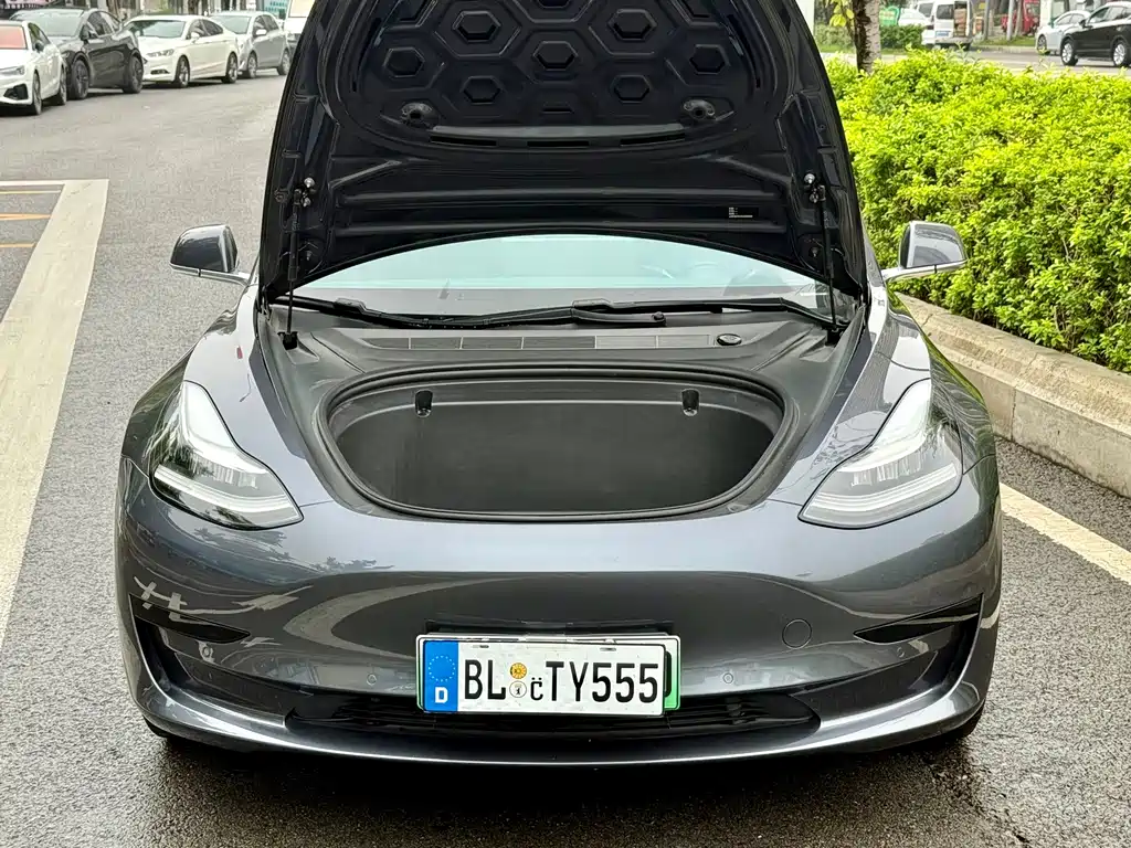 Tesla Model 3 — миниатюра 4