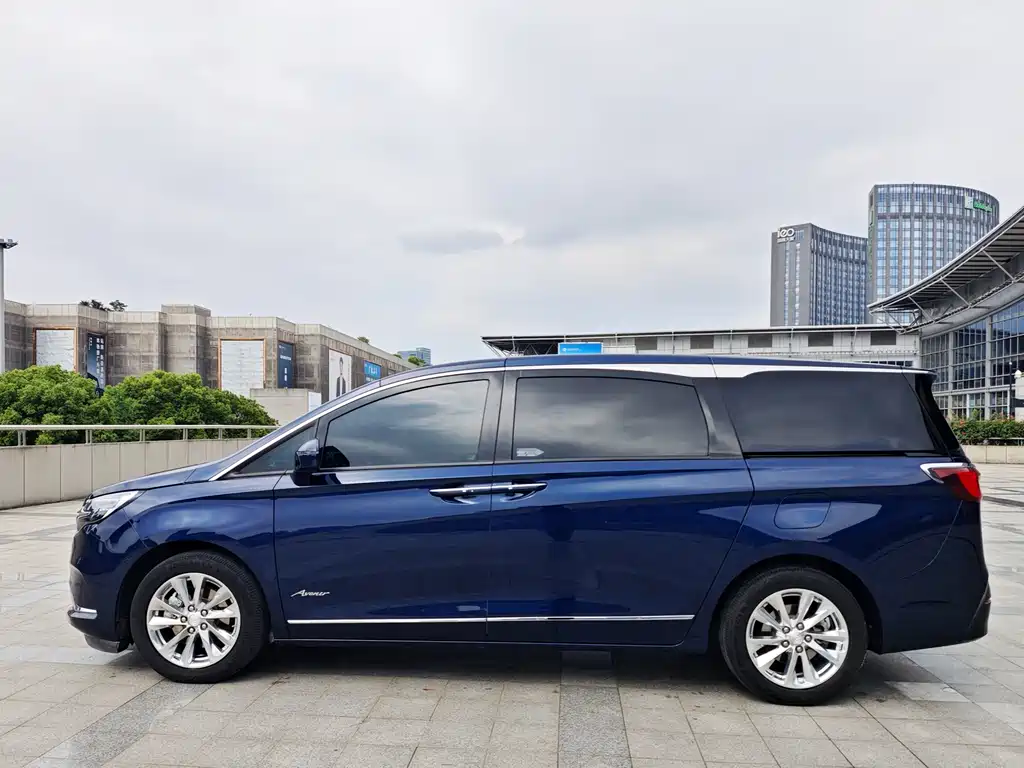 Buick GL8 2020 Avenir мест