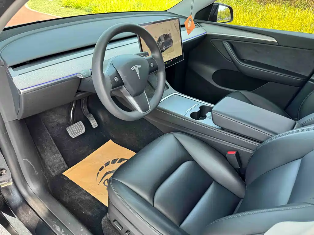 Tesla Model Y — миниатюра 7
