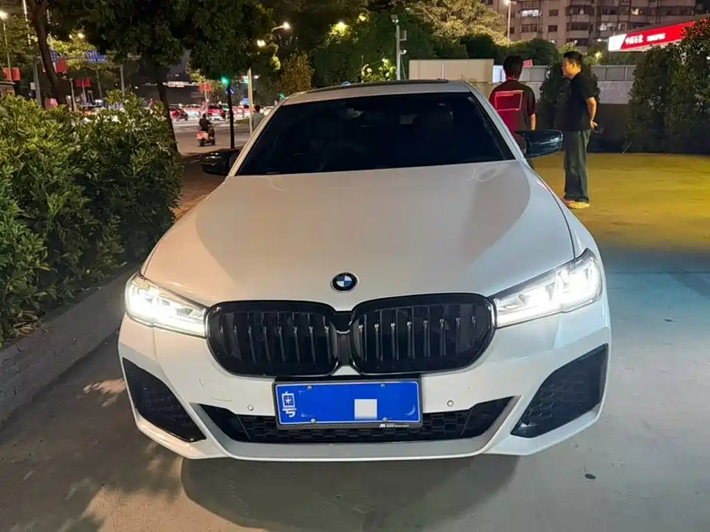 BMW 5 Series — миниатюра 5