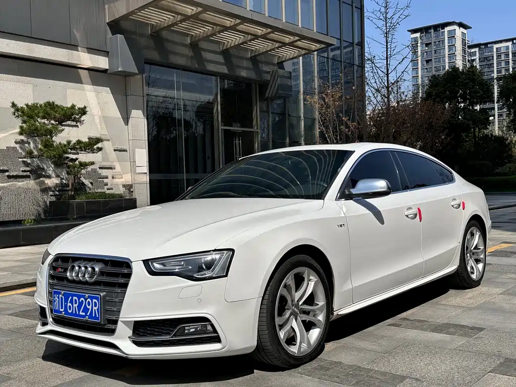 Audi S5 2013
