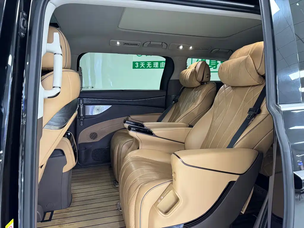Denza Denza D9 — миниатюра 6