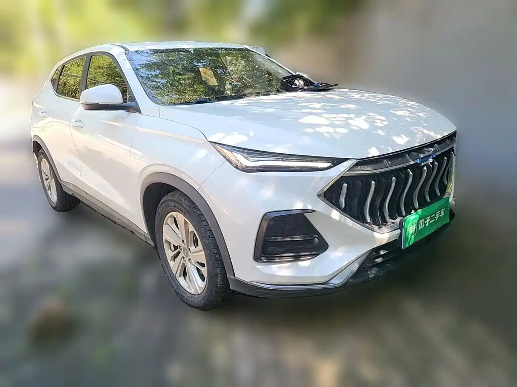 Oshan Oushang X5 — миниатюра 24