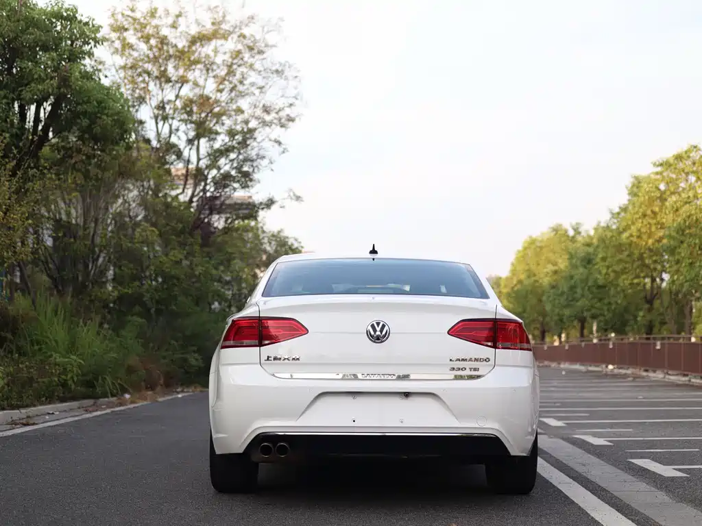 Volkswagen Lamando — миниатюра 6