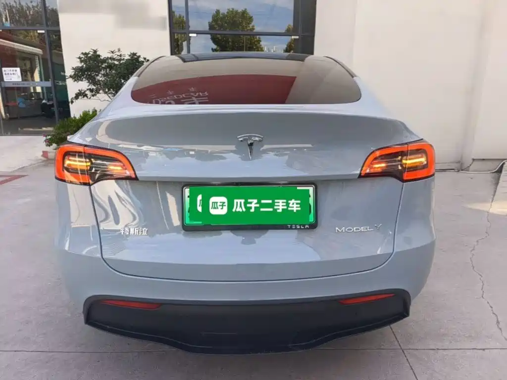 Tesla Model Y — миниатюра 6