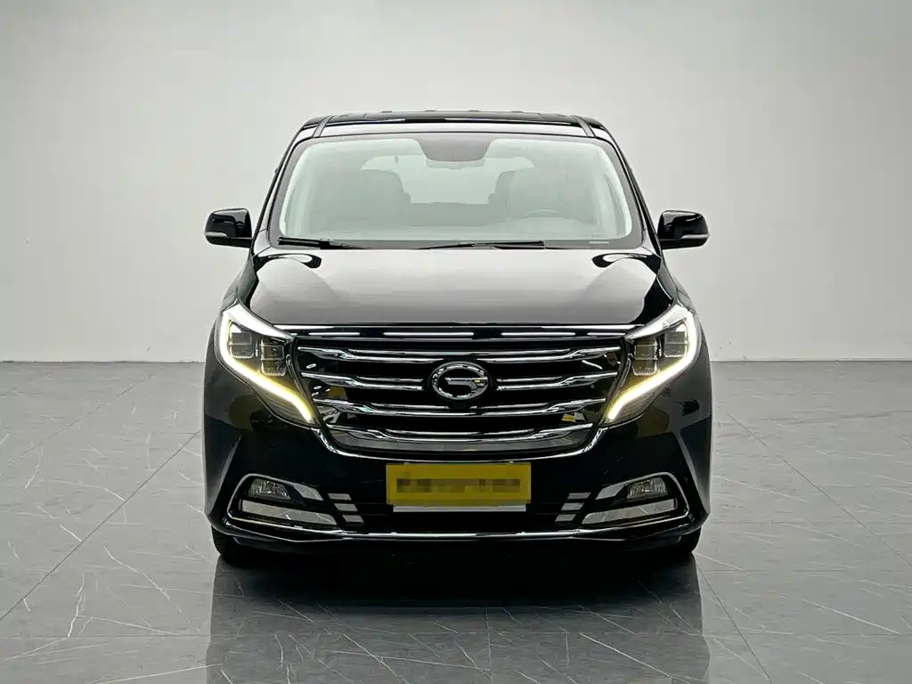 GAC Motor Trumpchi M8 — миниатюра 2