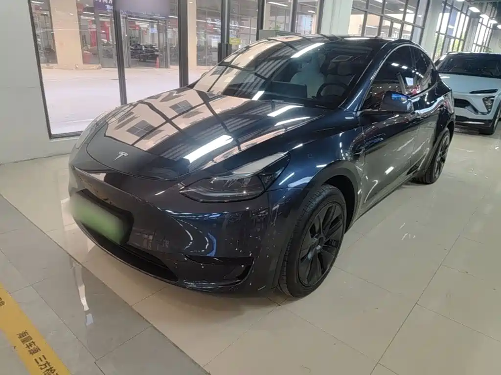 Tesla Model Y — миниатюра 2