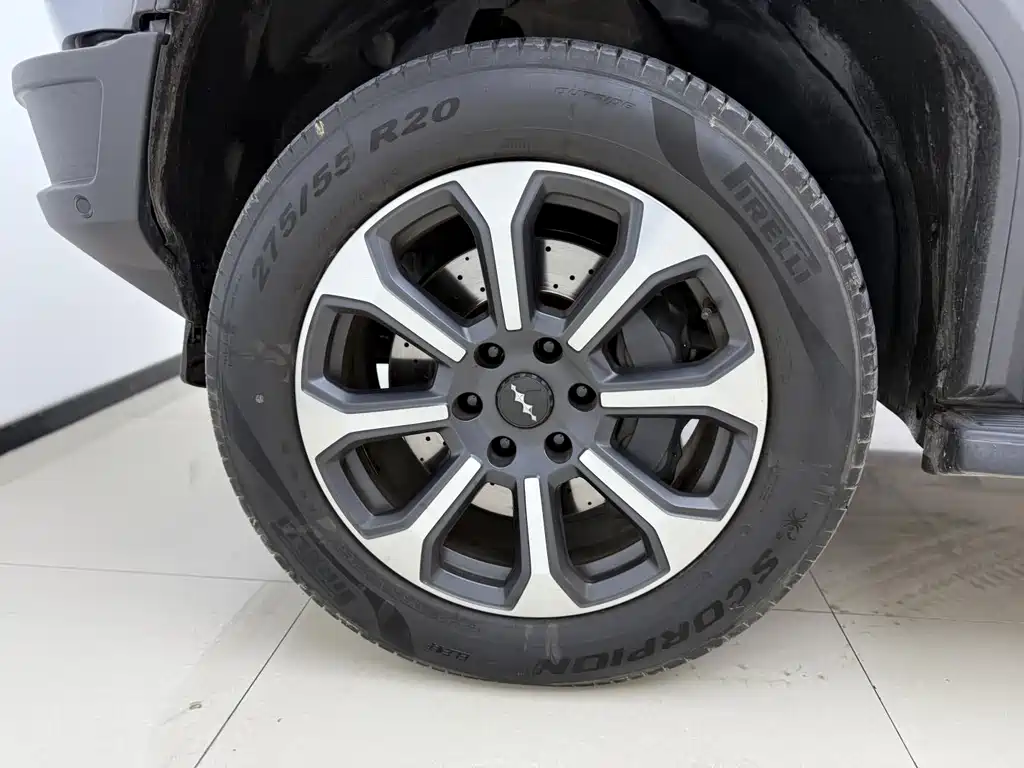 FANG CHENG BAO LEOPARD 5