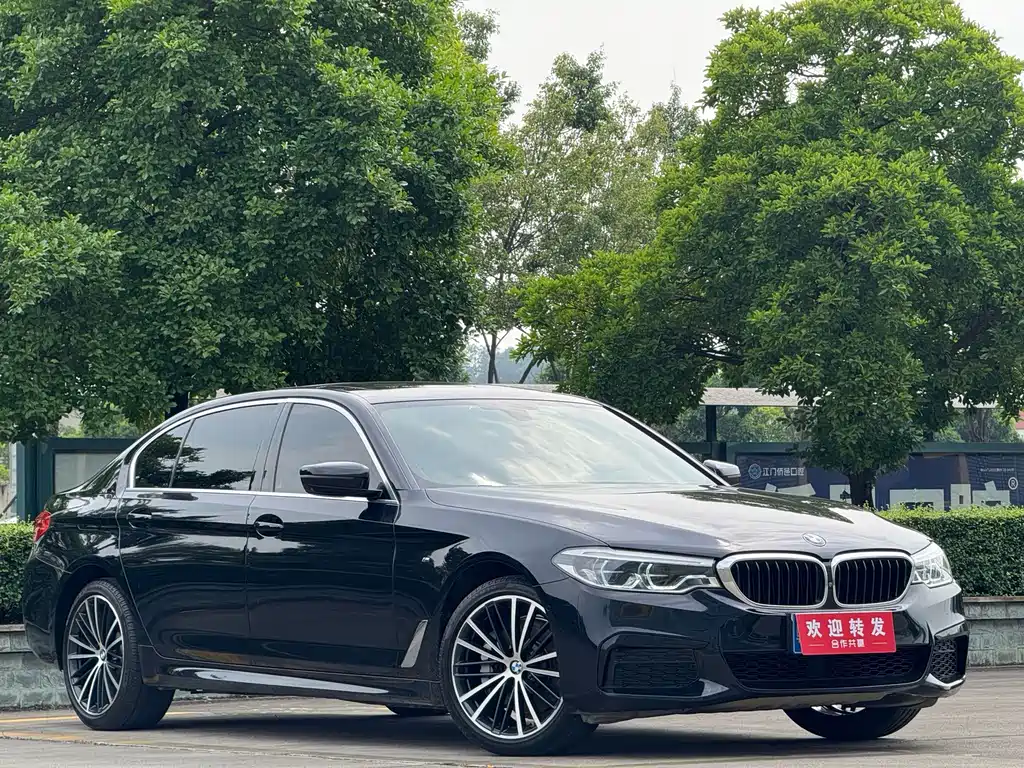 BMW 5 Series — миниатюра 3