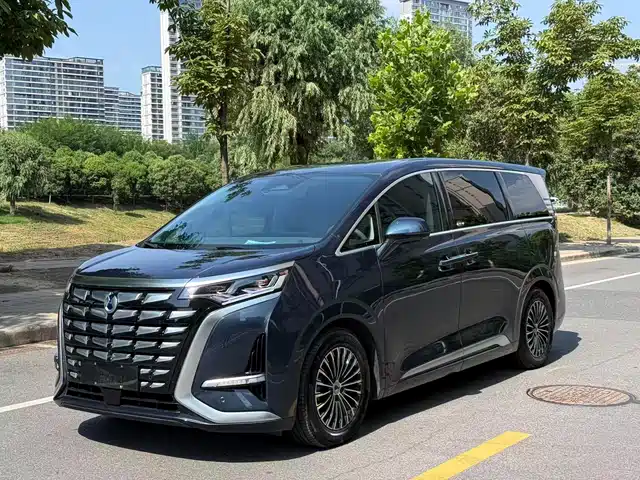 Denza D9