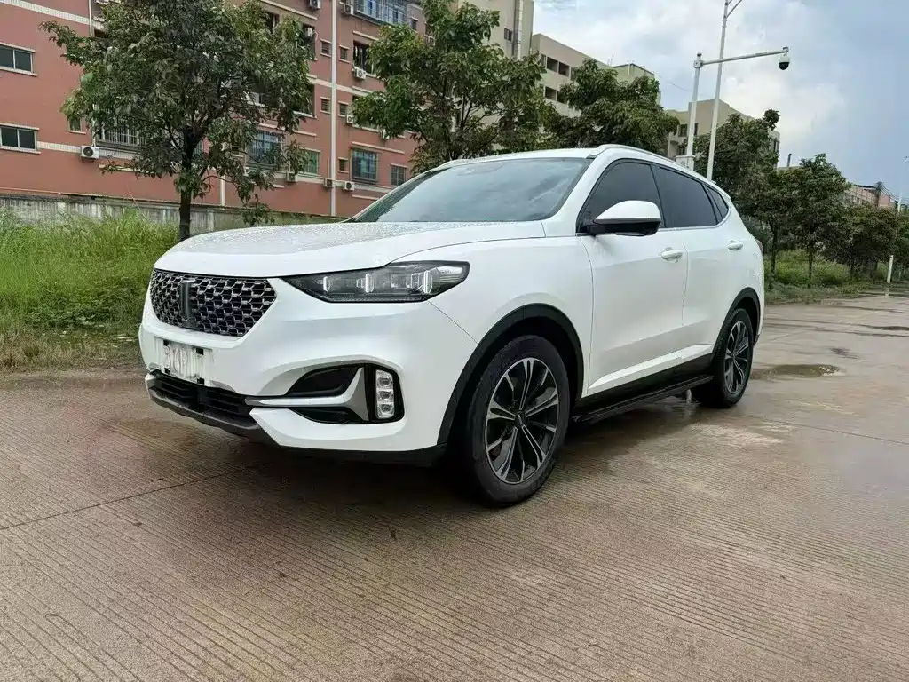 Wey Wey VV6