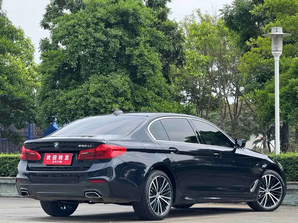 BMW 5 Series — миниатюра 4