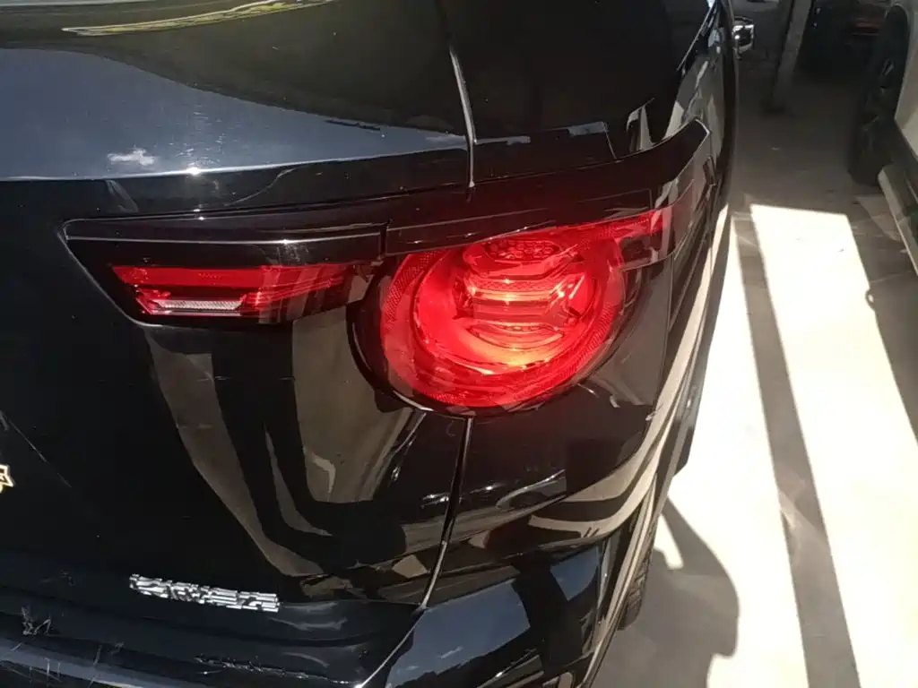 Haval Big Dog PLUS — миниатюра 8